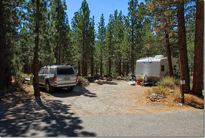 Pine Glen_001