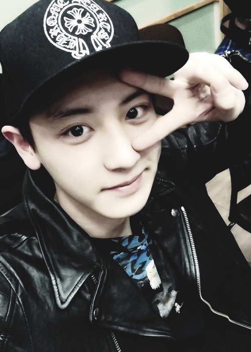 Welcome to Kyara's blog^~^: all about chanyeol