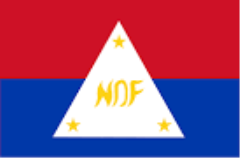 NDF Flag