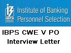 IBPS CWE PO MT Interview Call Letter