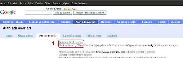 Blogger Etki alanı ayarları, gelişmiş DNS ayarları