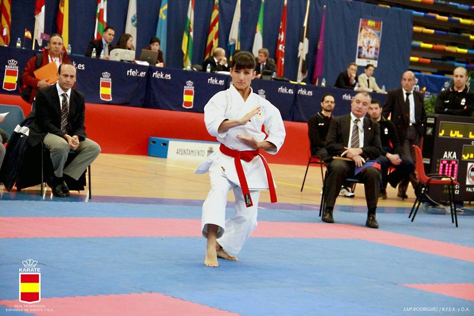 Resultado de imagen de sandra sanchez karate