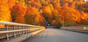 [秋田] 玉川温泉大橋の紅葉（夕暮れ時）