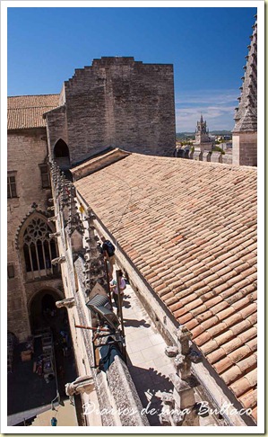 Avignon-33