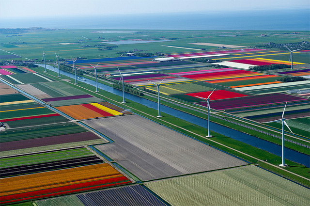  Pemandangan Indah Taman Bunga Tulip