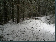 DSCN0938