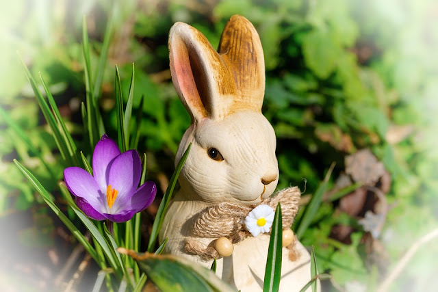 Image: Easter bunny crocus spring, by Bruno Glätsch on Pixabay