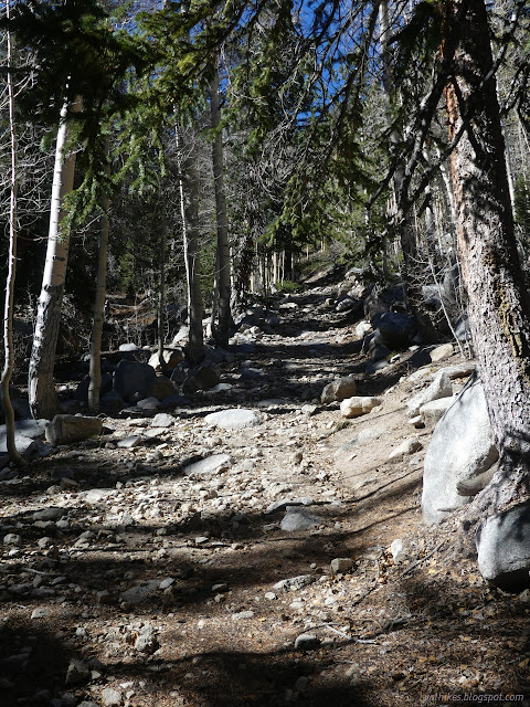 022: steep and rocky and tree lined