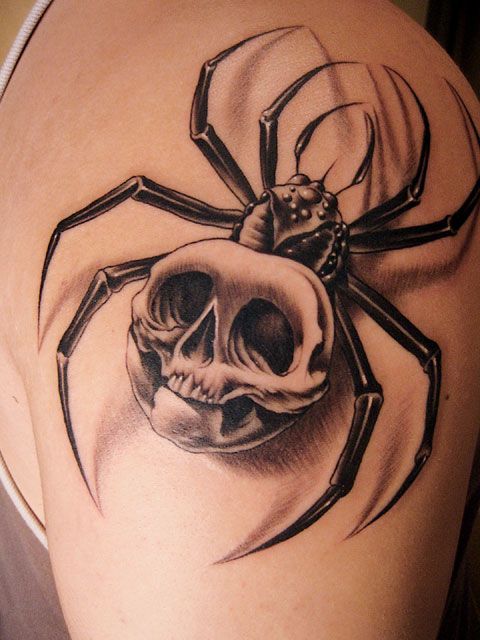 skull tattoo design. skull-tattoo-drawings