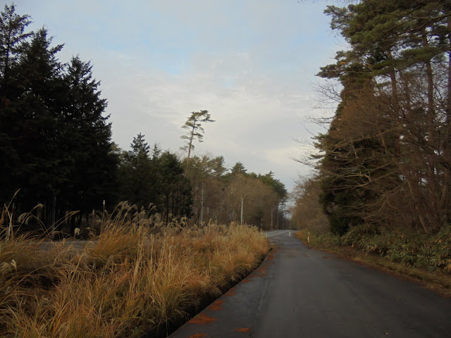 284道路大山寺岸本線沿いの古い道路