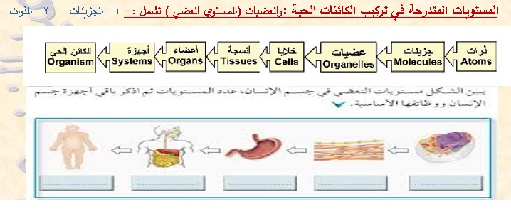 الاحياء الصف الاول الثانوى الكربوهيدرات