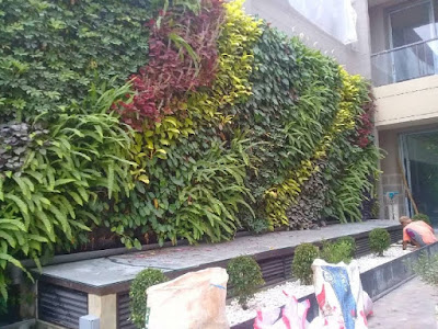 taman vertikal - living wall