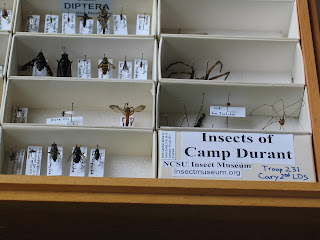 Issac's bug collection