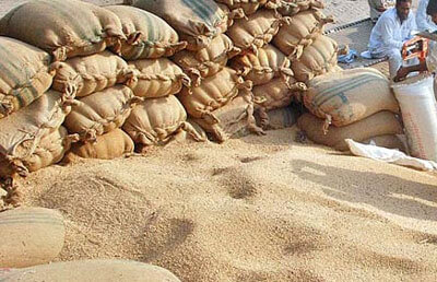 India Seen Will Importing 2-3 Million Tonnes of Wheat In 2017-2018