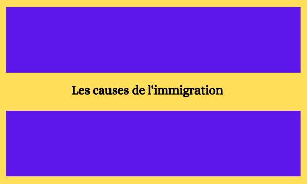 Les causes de l'immigration