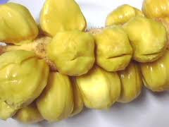 cempedak yang berkualitas
