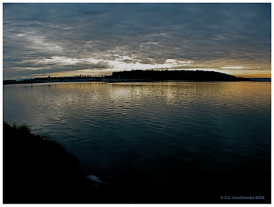 Early morning light : Oak Harbor, WA