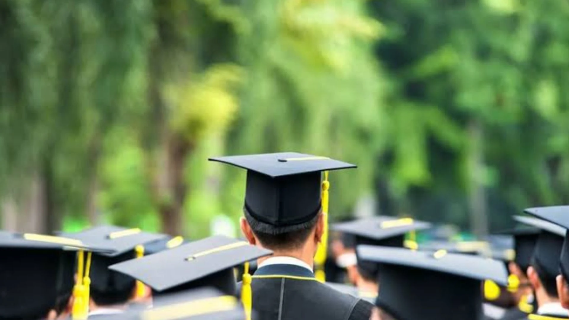Tips Memilih Jurusan Kuliah dengan Baik dan Benar, Calon Maba Wajib Tahu!