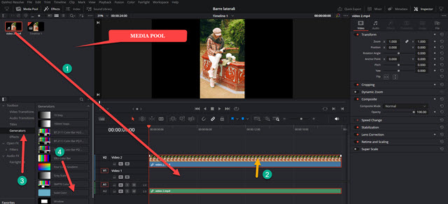 video verticali su davinci resolve