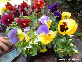 Spring on the Front Porch --- Ms. Toody Goo Shoes