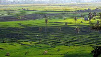 Pesona Keindahan Batusankar Pagaruyung Sumatra Barat