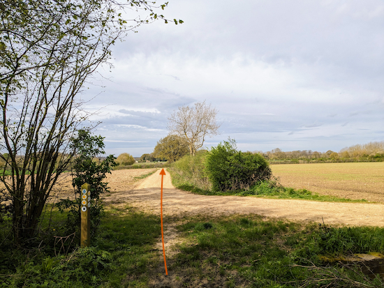 Continue across the junction, still on Thundridge bridleway 4