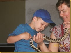 cheywsnakesmaller