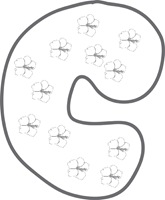 c