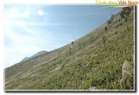 Canhdonglau102