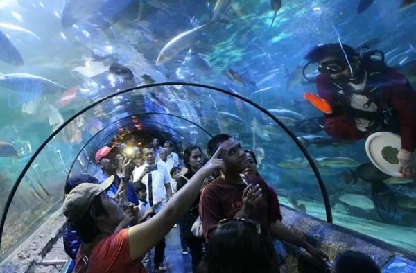 Wisata Aquarium Di Jogja