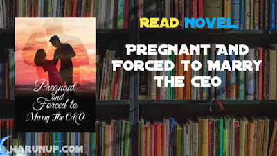 Read Pregnant And Forced to Marry the CEO Novel Full Episode