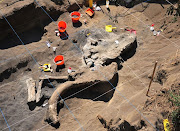 The remains of the mammoth found in Santa Ana Tlacotenco, Milpa Alta, Mexico . (mexico mammoth )