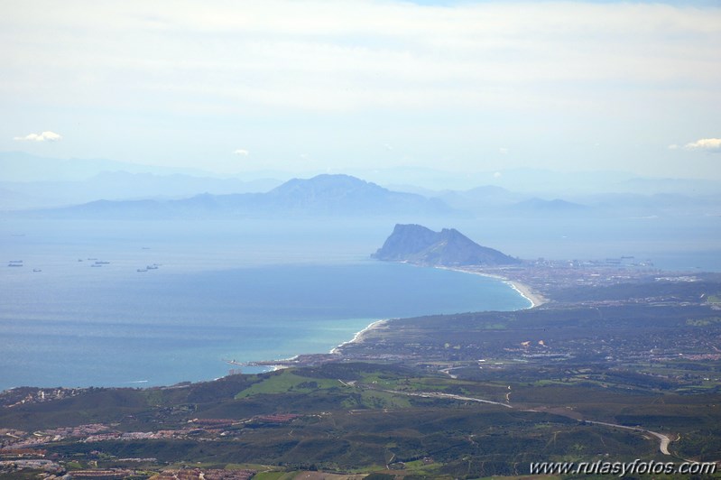 Los Reales de Sierra Bermeja