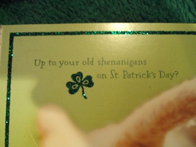 st. patricks day 2011 067