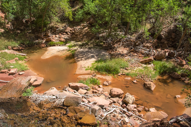 Lower Emerald Pool, Zion National Park