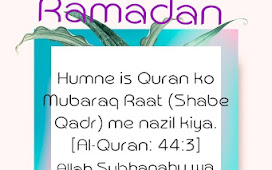 Humne is Quran ko Mubaraq Raat (Shabe Qadr) me nazil kiya.
