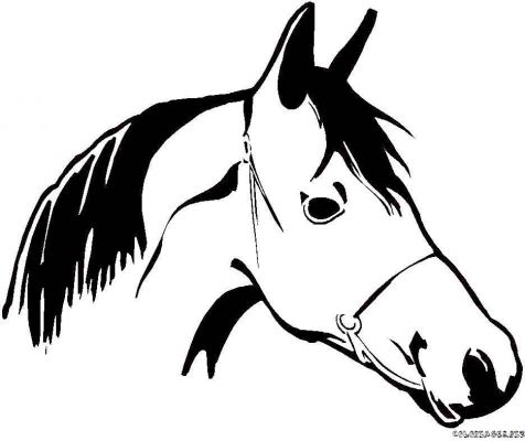 Horse Coloring Sheets on Ead Horse Coloring Pages