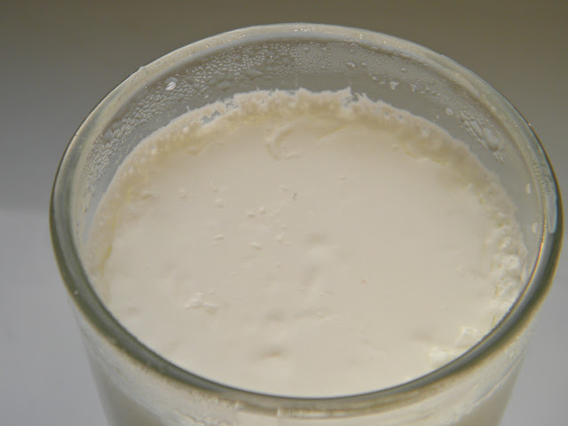 domácí jogurt SCD bez konzervantů