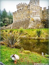 Ruta por las Bodegas del Valle de Napa: Castello di Amorosa