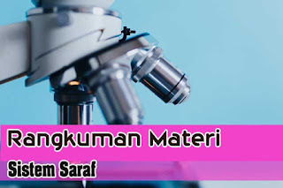 Rangkuman Materi Sistem Saraf