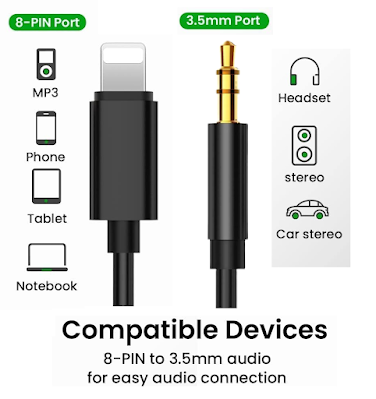 Lightning to Aux Cable