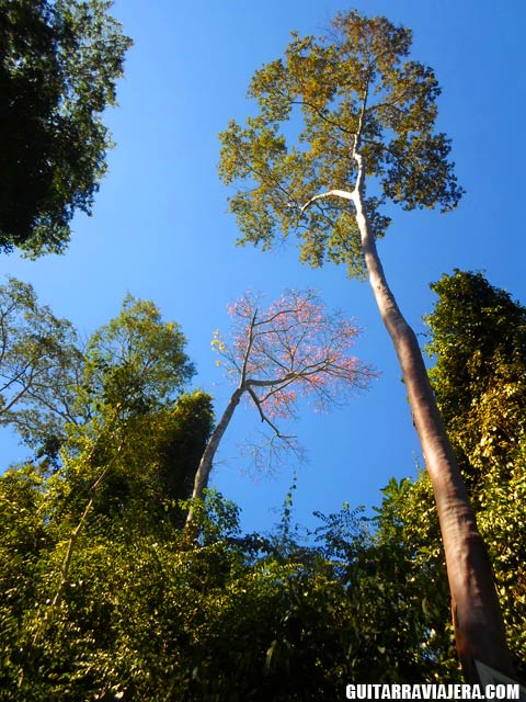 Camino a la catarata de Meretari