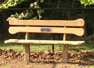 Biscuit shaped benches built by GHS CTE studens