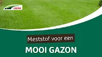 meststof gazon zomer