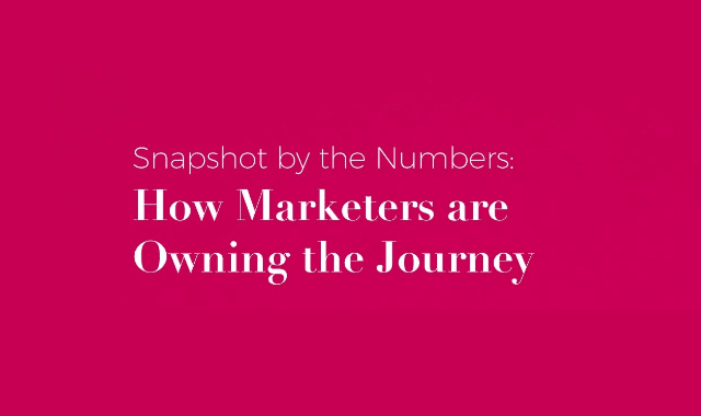 Snapshot by the Numbers: How Marketers are Owning the Journey