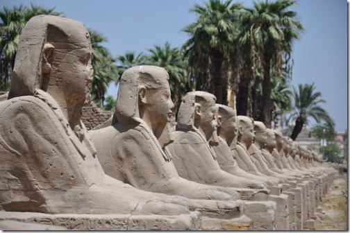 23 Egypt 215