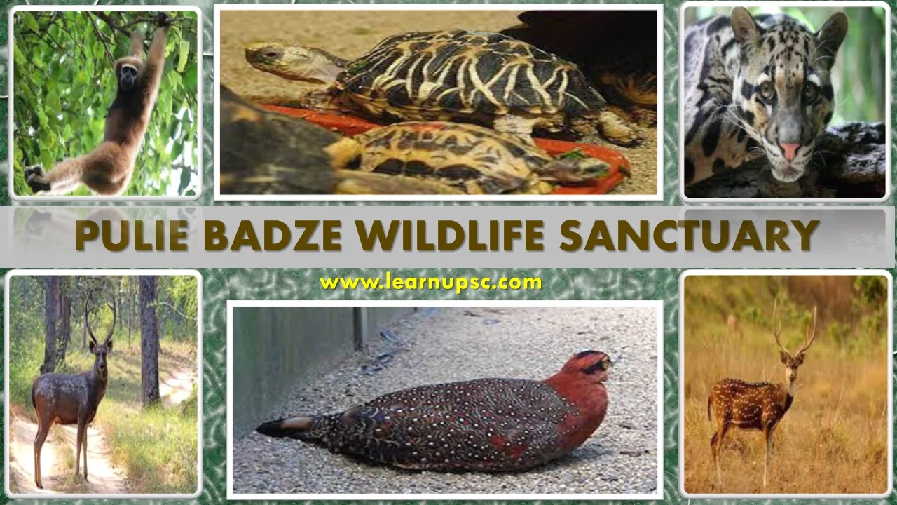 Pulie Badze Wildlife Sanctuary