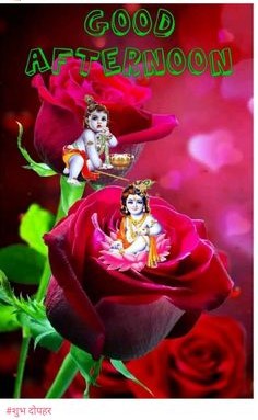 Good Morning Happy Krishna Janmashtami Wishes,