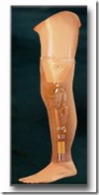 Abov knee Modular system Protheses