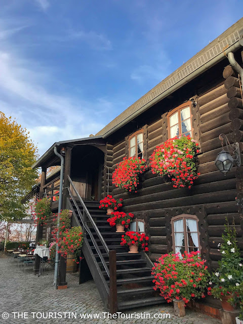 A wooden two-storey dark brown log house with a staircase at the front, decorated with flower boxes planted with bright red geraniums, under a soft blue sky.
